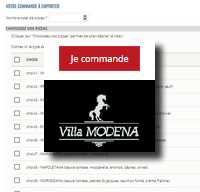Accédez au formulaire en ligne et commandez vos pizzas sur villamodena.fr